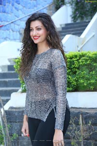 Hamsa Nandini