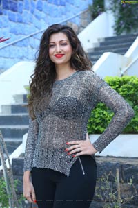 Hamsa Nandini