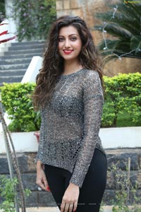 Hamsa Nandini