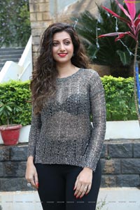 Hamsa Nandini