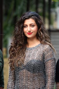 Hamsa Nandini