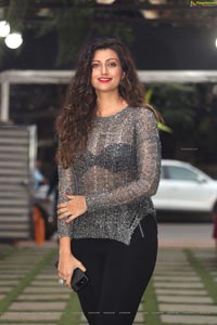 Hamsa Nandini