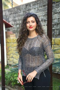 Hamsa Nandini