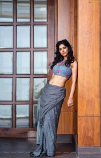 Nabha Natesh