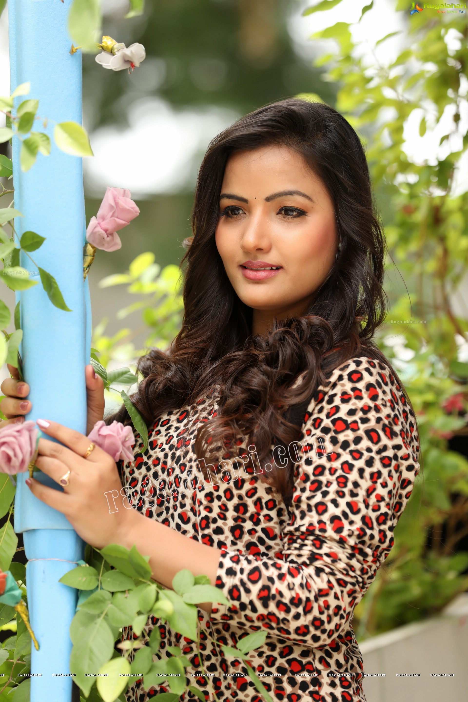 Siri Hanmanth (Exclusive Photo Shoot) (High Definition Photos)