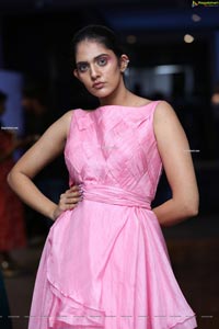 Kritya Sudha at New Mercedes-Benz GLC Launch Party