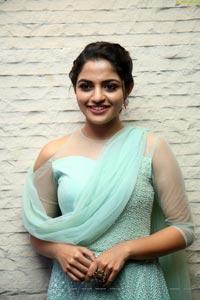 Nikhila Vimal at Donga Movie Pre-Release Event