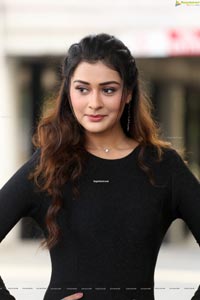 Payal Rajput at Venky Mama Thanks Meet