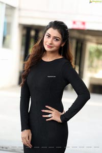 Payal Rajput at Venky Mama Thanks Meet