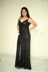 Sameera Reddy at Ekanthavela Movie Press Meet