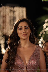 Raai Laxmi Stills From Janatha Bar Movie