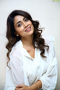 Shriya Saran at Gamanam Movie Success Meet