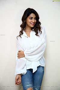 Shriya Saran at Gamanam Movie Success Meet