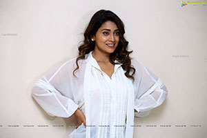 Shriya Saran at Gamanam Movie Success Meet