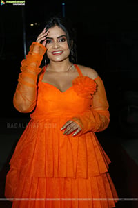 Sarayu at 18 Pages Pre-Release Event