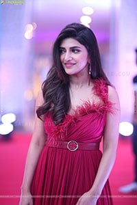 Sreeleela at Extra Ordinary Man Pre-Release Event