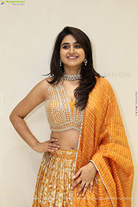 Varshini at Narsingh Cloth Emporium New Showroom Launch