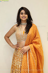 Varshini at Narsingh Cloth Emporium New Showroom Launch