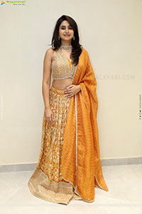 Varshini at Narsingh Cloth Emporium New Showroom Launch