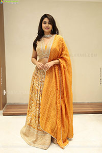 Varshini at Narsingh Cloth Emporium New Showroom Launch