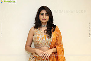 Varshini at Narsingh Cloth Emporium New Showroom Launch