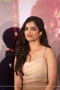 Bhagyashri Borse at Andhra King Taluka Success Meet