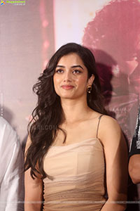 Bhagyashri Borse at Andhra King Taluka Success Meet