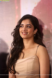 Bhagyashri Borse at Andhra King Taluka Success Meet