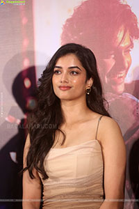 Bhagyashri Borse at Andhra King Taluka Success Meet