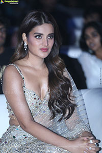 Nidhhi Agerwal at The Rajasaab Pre Release Event