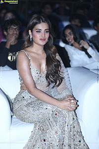 Nidhhi Agerwal at The Rajasaab Pre Release Event