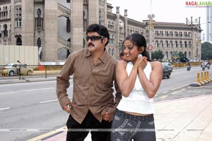 Balakrishna, Priyamani