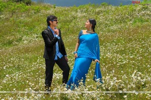 Jagapathi Babu, Meera Jasmine