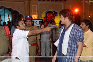 King (Nagarjuna, Trisha) Working Stills