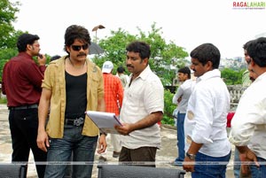 King (Nagarjuna, Trisha) Working Stills