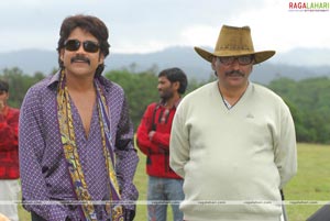 King (Nagarjuna, Trisha) Working Stills