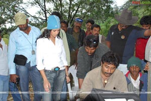 King (Nagarjuna, Trisha) Working Stills