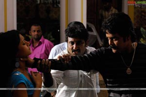 King (Nagarjuna, Trisha) Working Stills