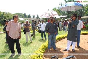 King (Nagarjuna, Trisha) Working Stills