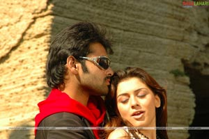 Ram, Hansika, Sheela