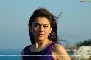 Ram, Hansika, Sheela