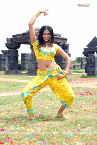 Priyamani in Dhrona