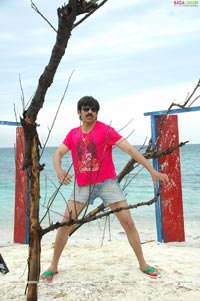 Ravi Teja in Neninthe