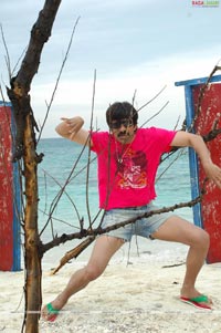 Ravi Teja in Neninthe