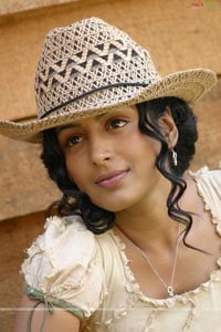 Padma Priya Photo Gallery from Super Cowboy