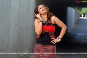 Swetha Basu Prasad Photo Gallery