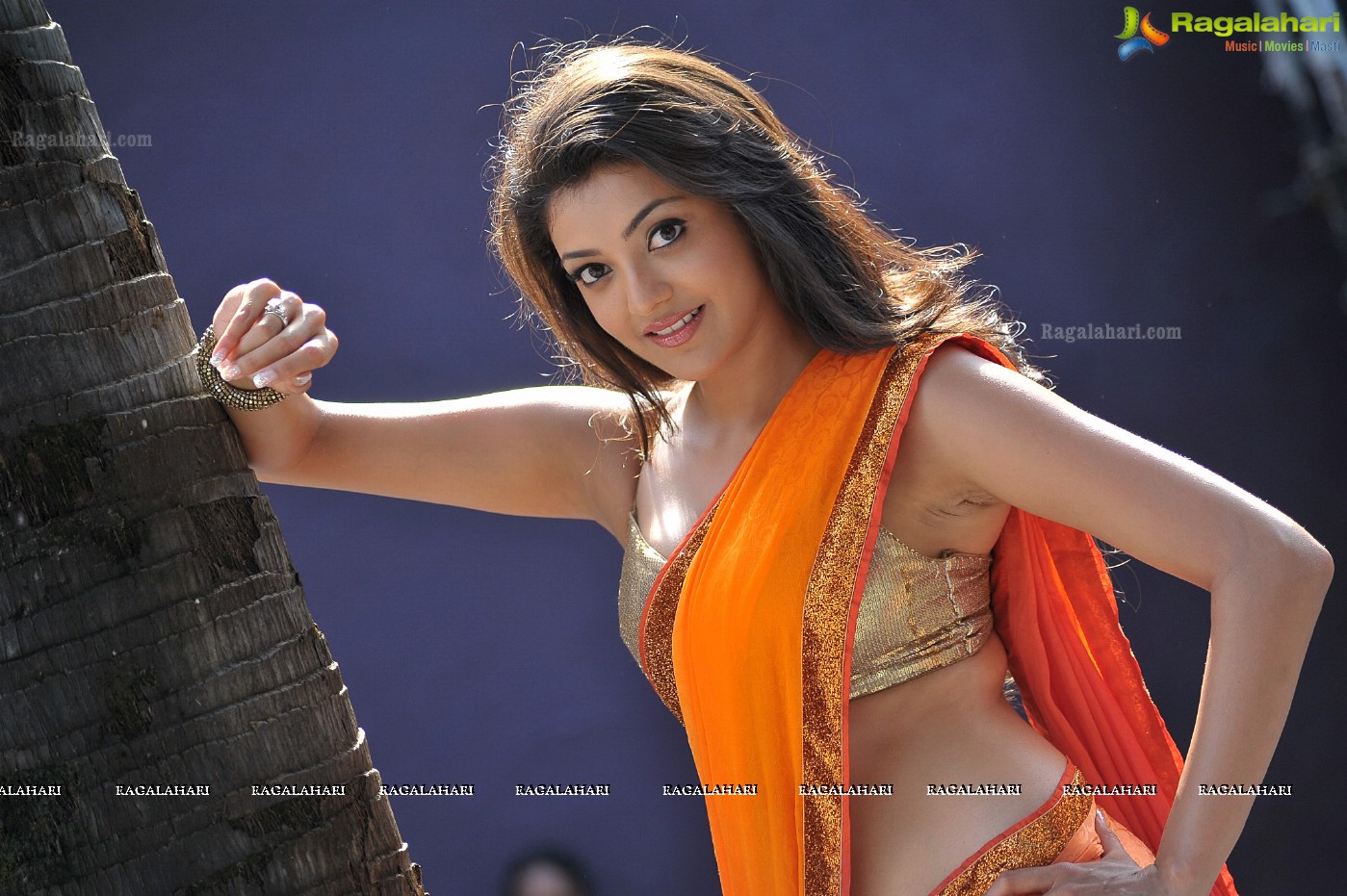 Kajal Aggarwal Stills from Businessman, Gallery, Images