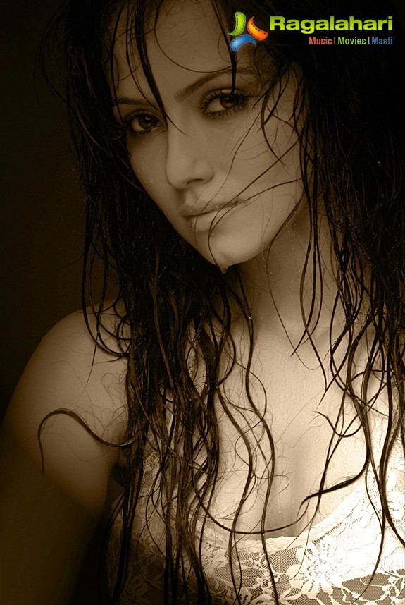 Sana Khan (Portfolio)