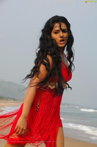 Aayiram Vilakku Rachana Maurya Hot Photos