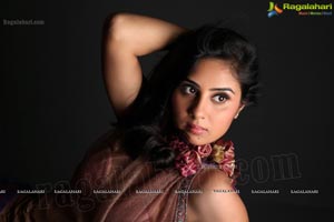 Bhanu Shree Mehra Photo Shoot